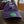 Load image into Gallery viewer, Adult Clay City Chino Unstructured Hat
